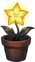 Starflower