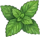 Mint