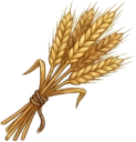 Wheat